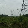 Power Lines - W. County Line Rd.