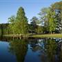 Simpson County Lake