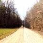 Thompson Lake Road