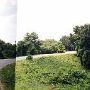 Waterford Kudzu