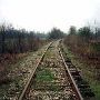 Delta Train Tracks