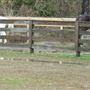 Hillbrooke Stables