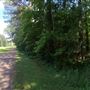Spillway - Walking Path