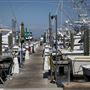 Biloxi Small Craft Harbor - Charter Boats