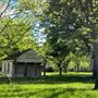 Florewood Plantation - Current