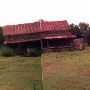 Shack in meadow