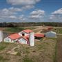 Piney Woods School - Farm