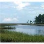 Grand Bay Estuary