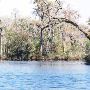 McCoy's River & Marsh Tours