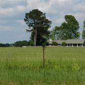Galloway Farm
