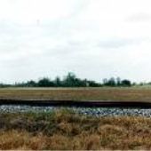 Railroad Tracks/ Fields - Delta