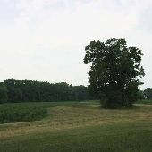 Farmhouse along Tracks