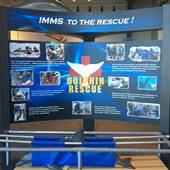 Institute For Marine Mammal Studies