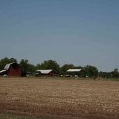 Barn, Silo