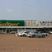 Sunflower Food Store