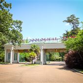 Jackson Zoo