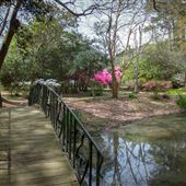 Mynelle Gardens