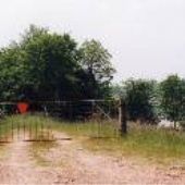 MS River Levee