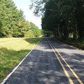 Diamond D Lake Rd