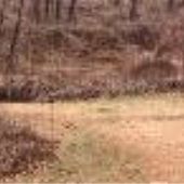 Grand Village Natchez Indians