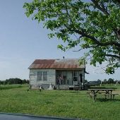 House in Field