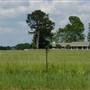 Galloway Farm
