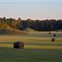 Pharr Mounds