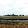 Railroad Tracks/ Fields - Delta