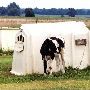 Mississippi State Agricultural Dept.