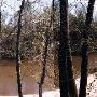 Perkinson River