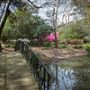 Mynelle Gardens