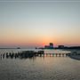 Biloxi - Coastline - Aerial