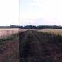 fields
