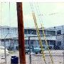 International Paper Company