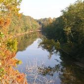 Leaf River