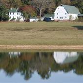 Dairy Farm