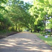 Neighborhood Street