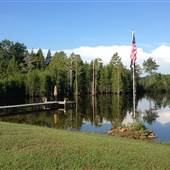 Cypress Run