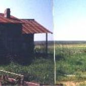 Shack in Field