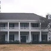 Woodpine