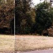 Neighborhood