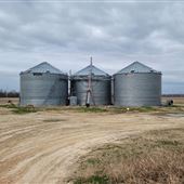 Cotton Storage