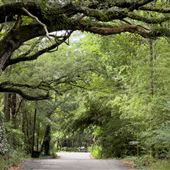 Byrd Drive