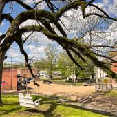 Carrollton - Downtown