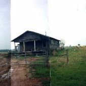 Shack and Barn