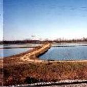 Catfish Farm, Railroad Tracks