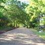 Neighborhood Street