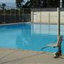 Francis Collins Swimming pool