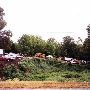 Kudzu Junkyard