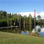 Cypress Run